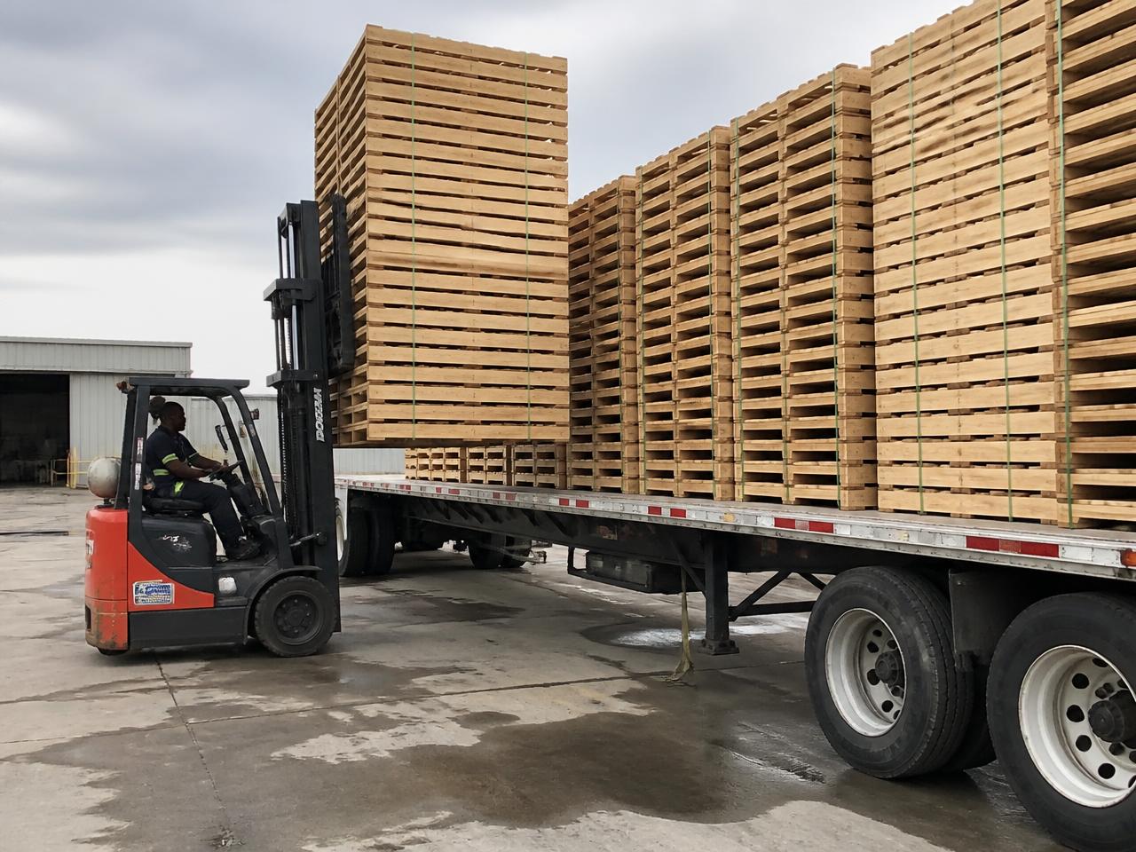 Forklift loading banded stacks of 48x40 stringer pallets onto a flatbed trailer